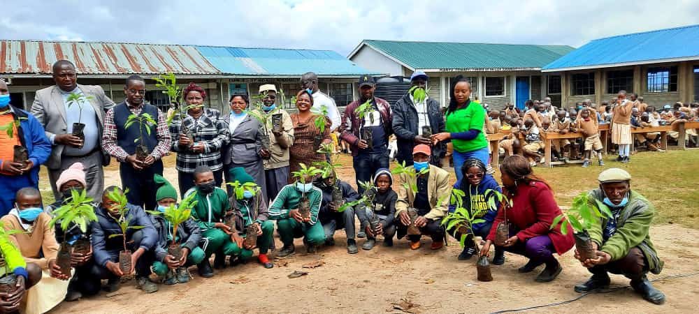 Free fruit seedlings distribution in Nyandarua county by the church of Jesus Christ of the Later Saints in partnership with Speaker JB Muturi